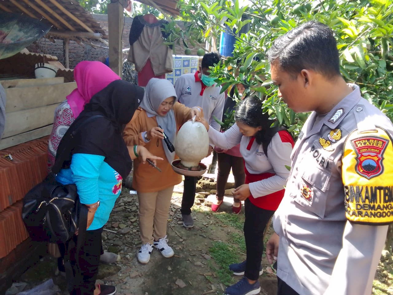 Sidak Jentik Bersama Linsek  Di Desa Demangan